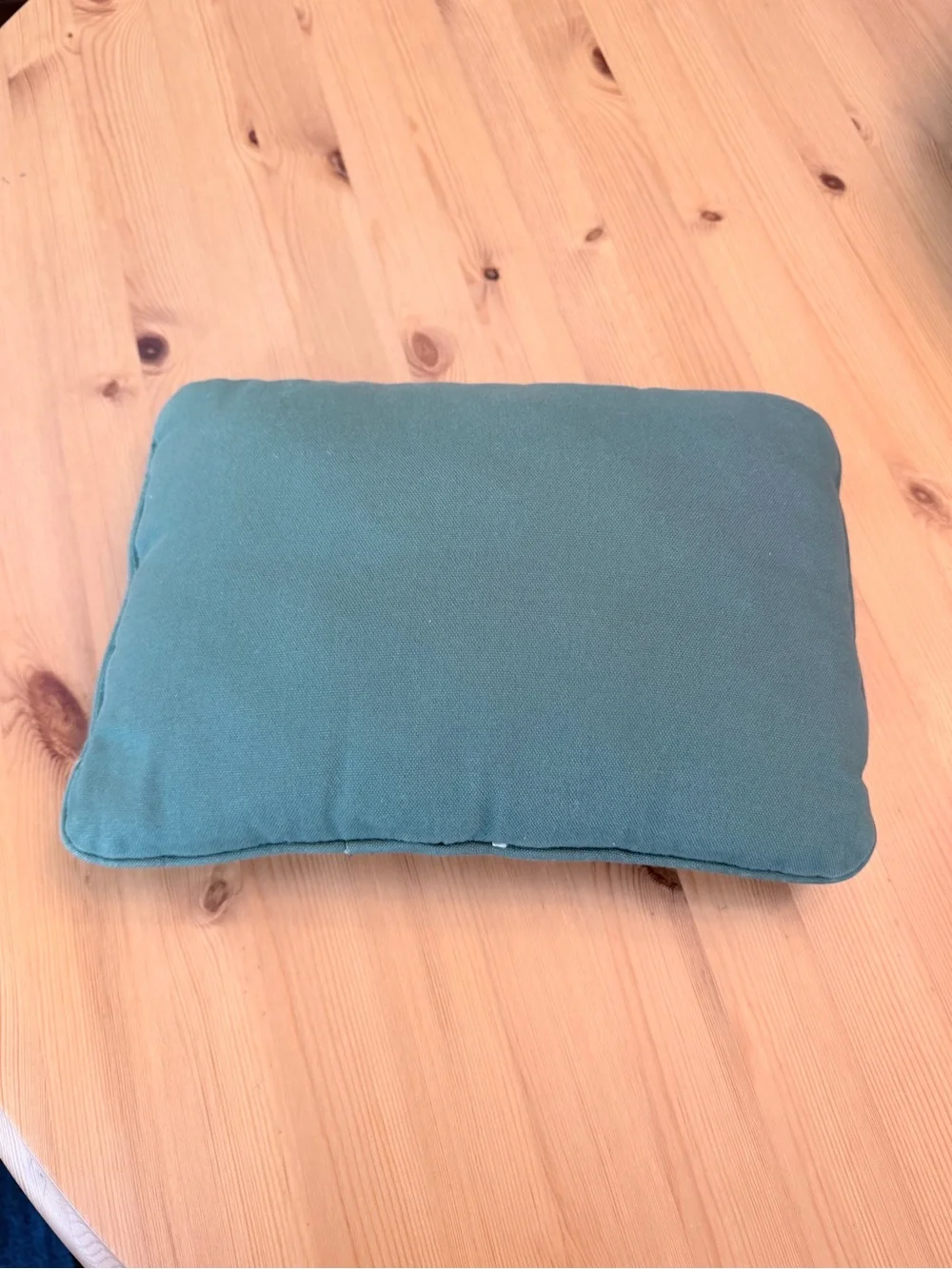Grandchildren Spoiled Here! Holiday Accent Pillow - Green and Cream